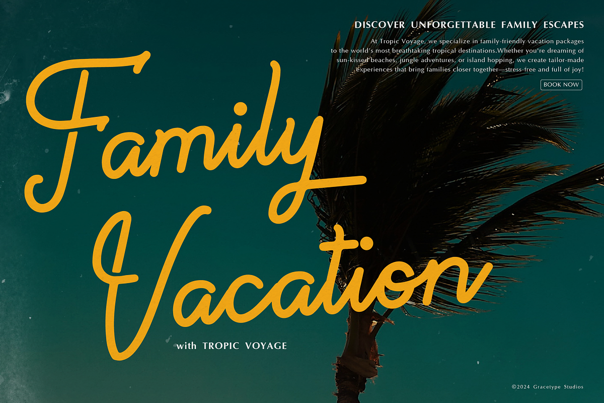 Paradise Gallaiso | Monoline Script, a Script Font by gracetype_studio (Photo 2 of 12)