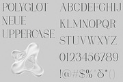 Polyglot Neue, a Serif Font by MJtypefoundry (Thumbnail 4 of 13)