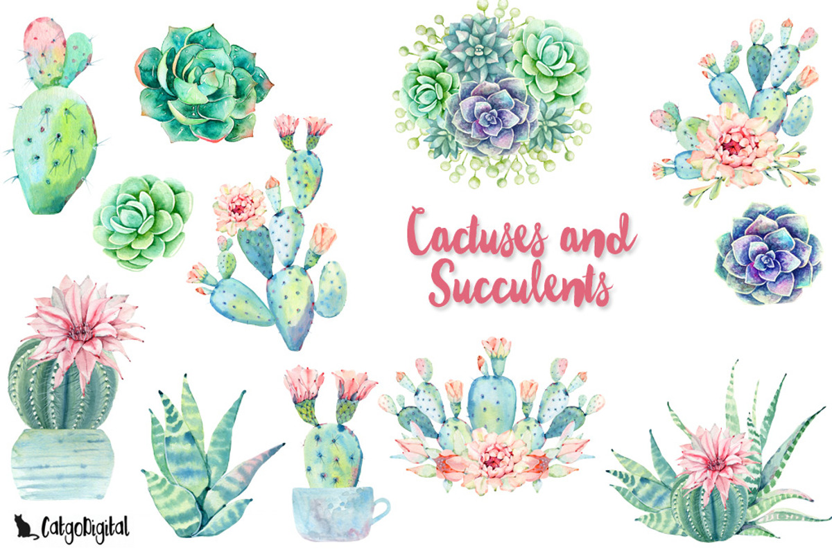Watercolor Cactuses and Succulents, an Illustration by CatgoDigital