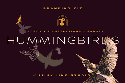 Illustrated Hummingbird Branding Kit