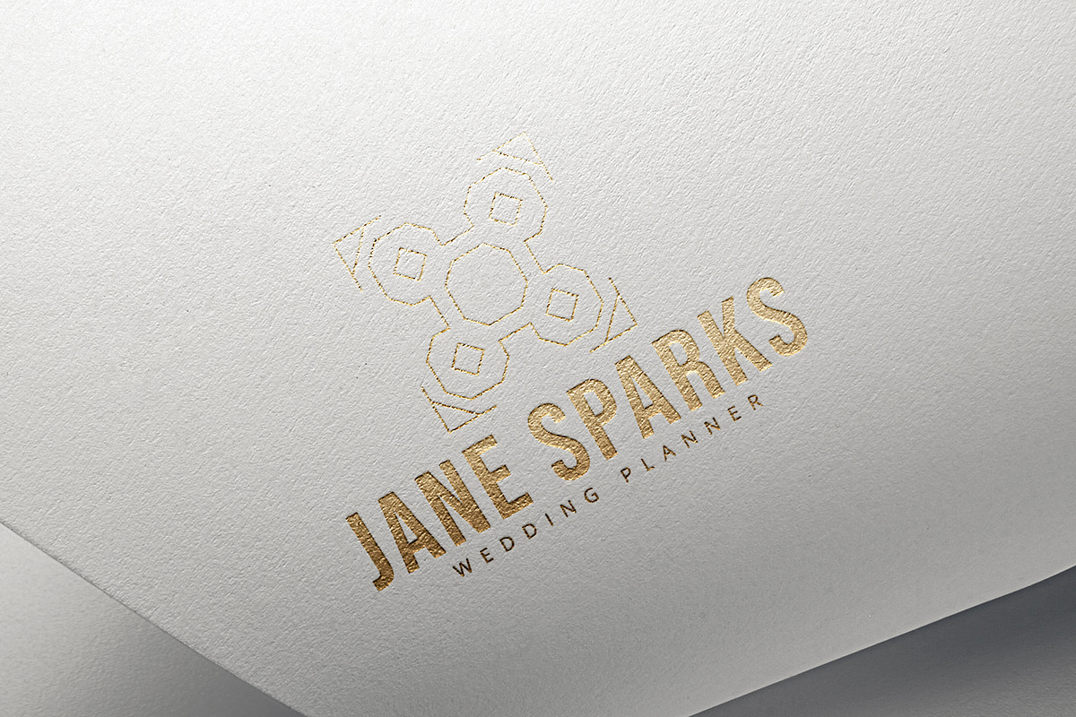Vintage Elegance | 30 Logo Templates, a Branding & Logo Template by VP Fonts (Photo 10 of 17)