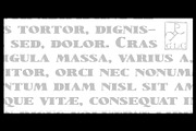 1890 Notice Set, a Serif Font by GLC Foundry (Thumbnail 4 of 9)
