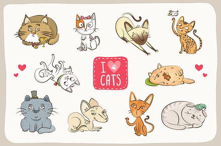 Adorable cat collection  (+BONUS!)