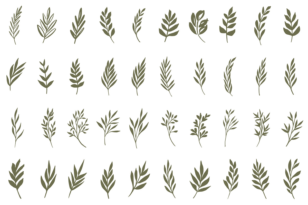 Hand drawn foliage, an Illustration by Wild Rose (Photo 3 of 6)