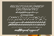 Actualized, a Handwritten Font by operatype.co (Thumbnail 8 of 8)