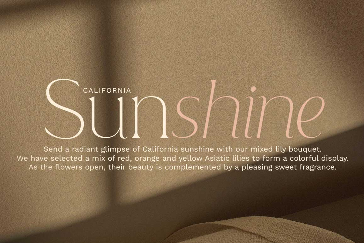 Lovely Branding, a Font by Lucky Type (Photo 3 of 18)