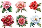 Camellia Flower Bloom PNG Clipart, an Illustration by DreamArtGraphic (Thumbnail 2 of 5)