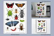 Bugs Collection Set A, an Animal Illustration by arsansp (Thumbnail 4 of 5)