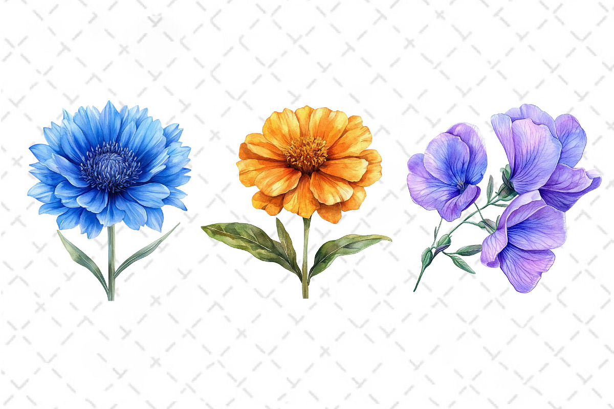 Watercolor Wildflowers Clipart, an Illustration by Dream Creation (Photo 5 of 5)