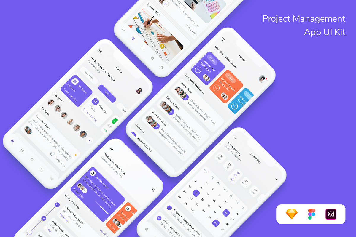 Project Management App UI Kit, an App Template by Betush