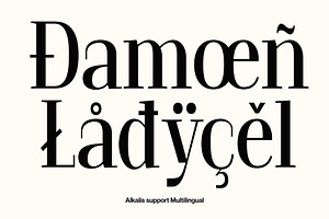 Alkalis Modern Elegant Serif