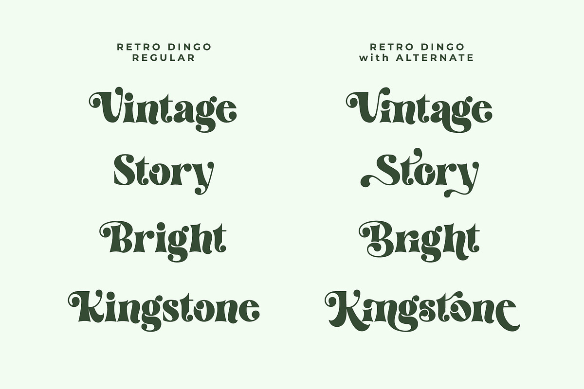 Retro Dingo - Modern Vintage Serif, a Serif Font by Airotype (Photo 2 of 12)
