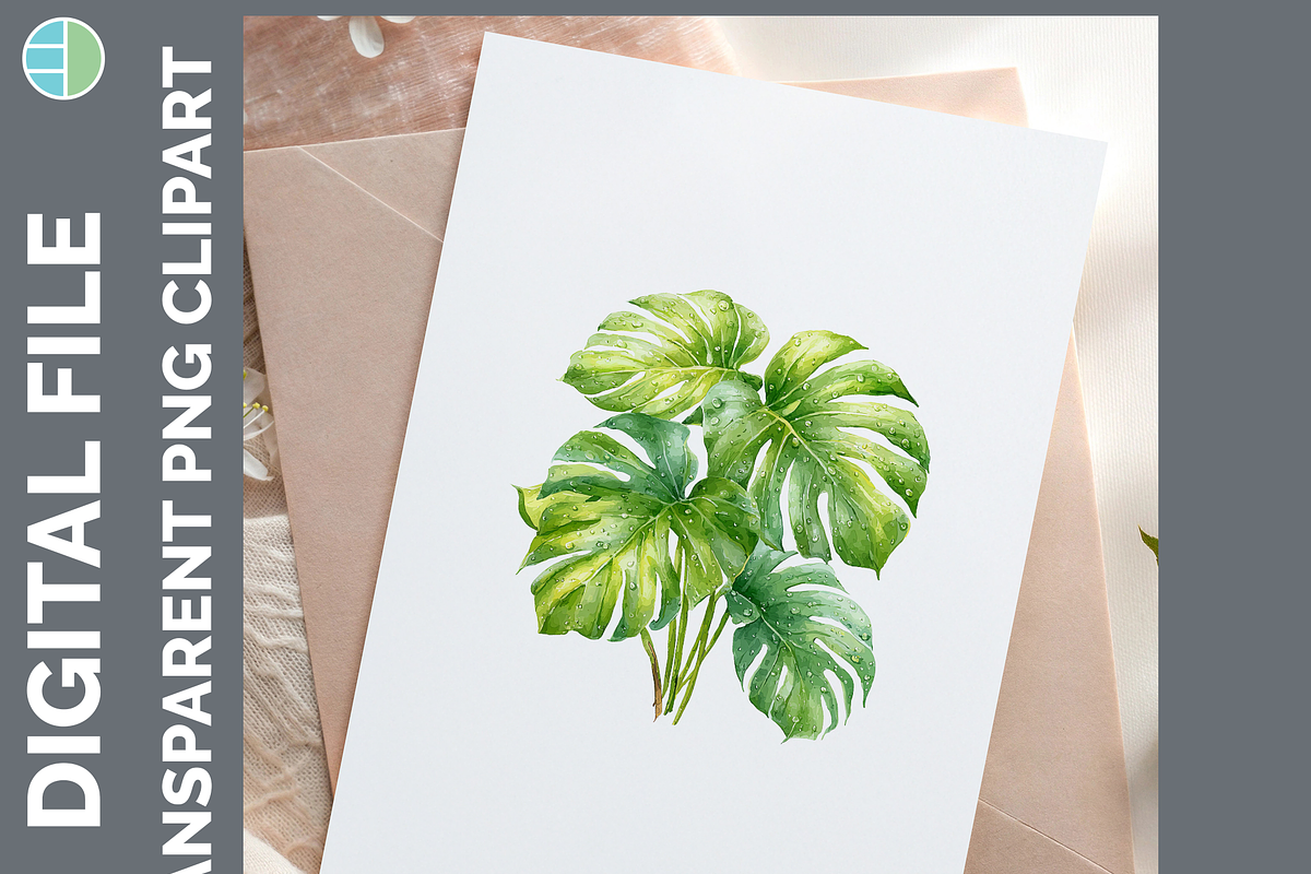 Houseplant Illustration Bundle, PNG, a Decorative Illustration by Enliven Designs (Photo 6 of 8)