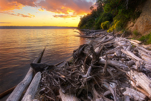 Camano island state park containing beach, landscape, and nature