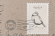 Small Birds hand drawn graphics, an Illustration by Pigment Café (Thumbnail 2 of 4)