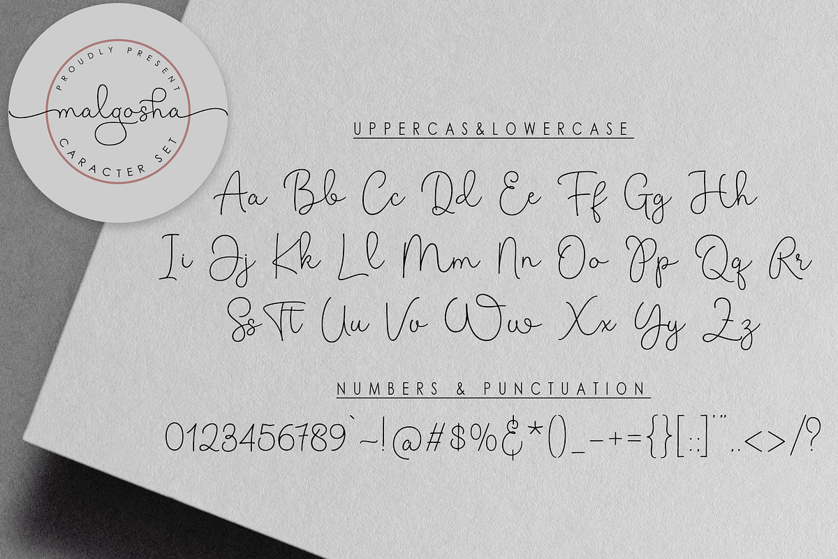 Malgosha Script, a Script Font by moriztype (Photo 15 of 21)