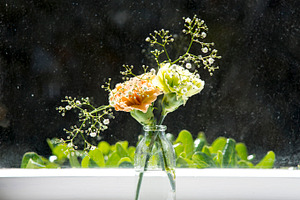 Vintage flowers stock photo containing vintage and flowers