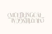 Prince Waskita - Serif Typeface, a Serif Font by Artchitype Studio (Thumbnail 12 of 13)