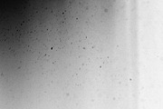 30 Black Dusty Textures, a Texture Graphic by Qamber Designs & Media (Thumbnail 6 of 7)