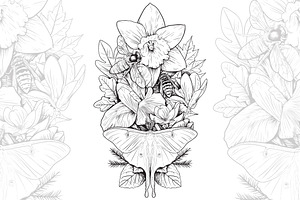 Flowers and Insects