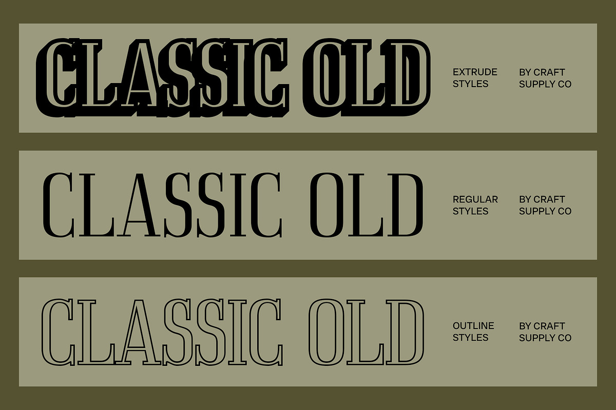 Acelon 3D, a Serif Font by Craft Supply Co. (Photo 2 of 7)