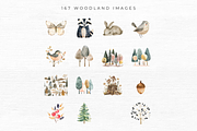 Woodland Animal Clipart, an Animal Illustration by EllyandLima (Thumbnail 3 of 10)