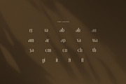 Memory Elegant Serif Font, a Serif Font by Graphicxell (Thumbnail 8 of 8)