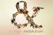NT Fall -a multicolor photo/typeface, an Illustration by NovoTypo (Thumbnail 3 of 5)
