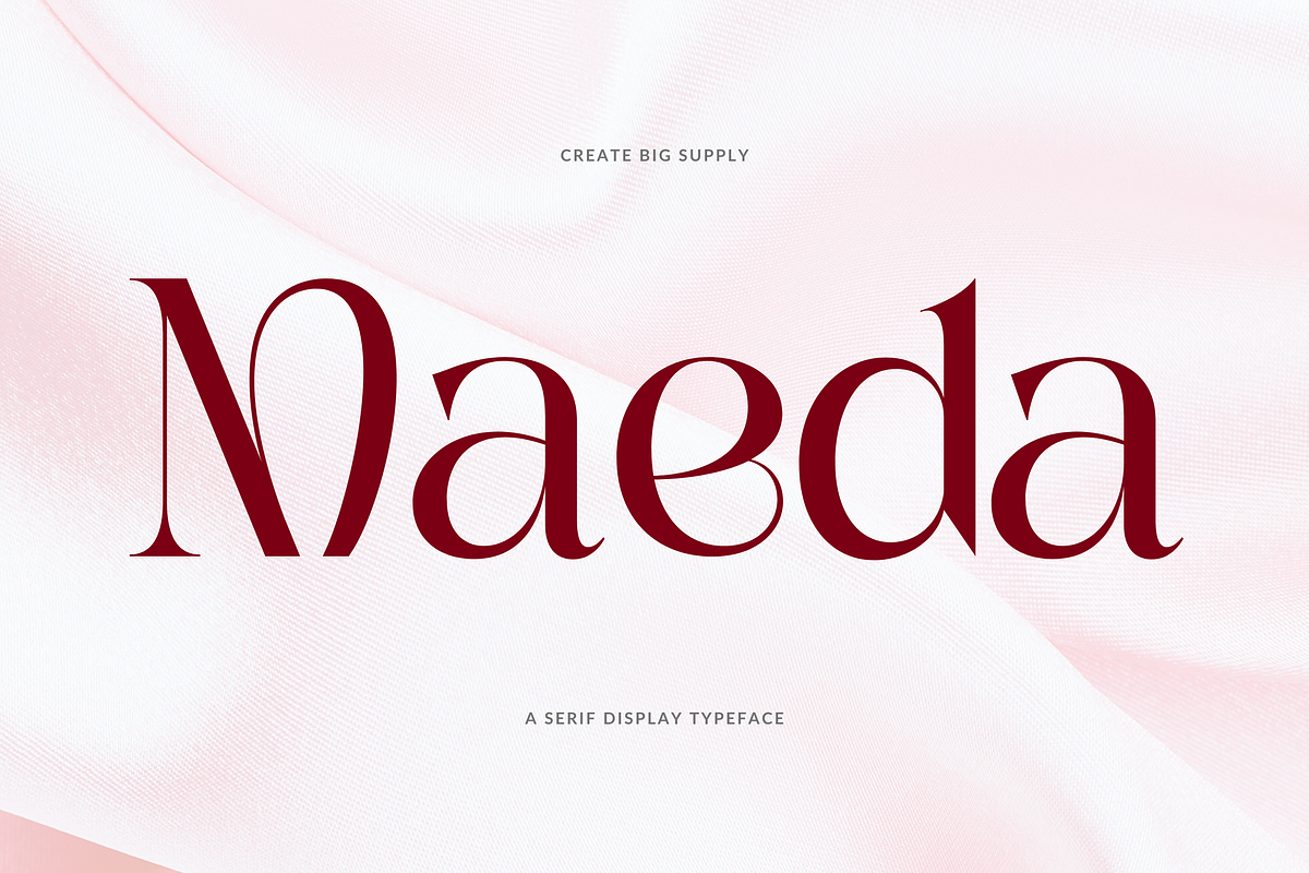 Maeda, a Sans Serif Font by CreateBigSupply (Photo 1 of 8)