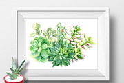 Watercolor Green plants, a Decorative Illustration by Hanna Hryharenka (Thumbnail 11 of 11)