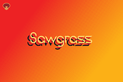 Sawgrass Typeface, a Font by Fro Bro Studio (Thumbnail 1 of 3)