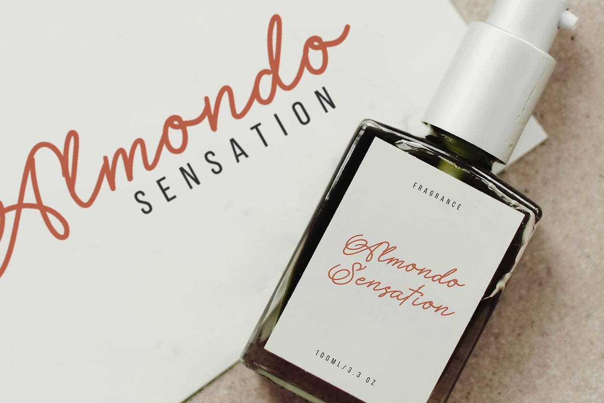 Methamory | Monoline Script Font, a Script Font by Denustudios (Photo 4 of 15)