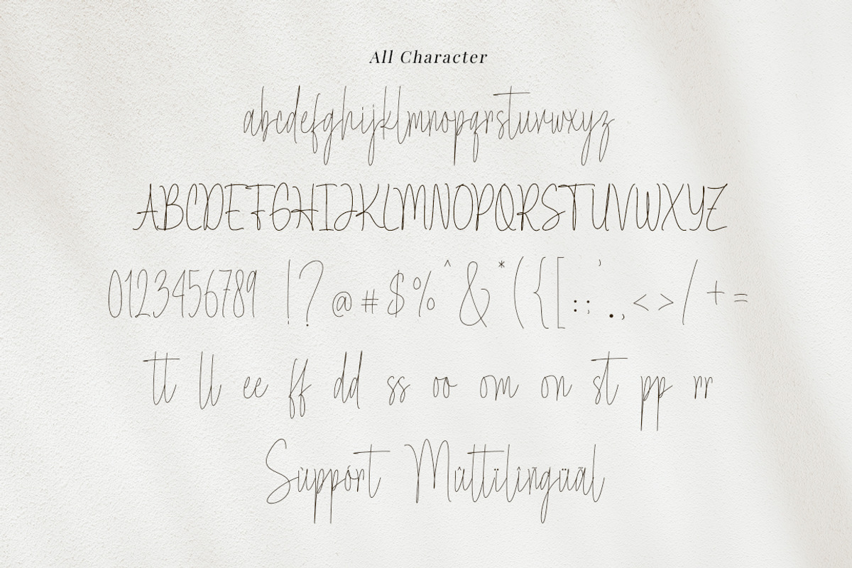 Insightful - Handwritten Script, a Handwritten Font by Bluestype Studio (Photo 10 of 10)