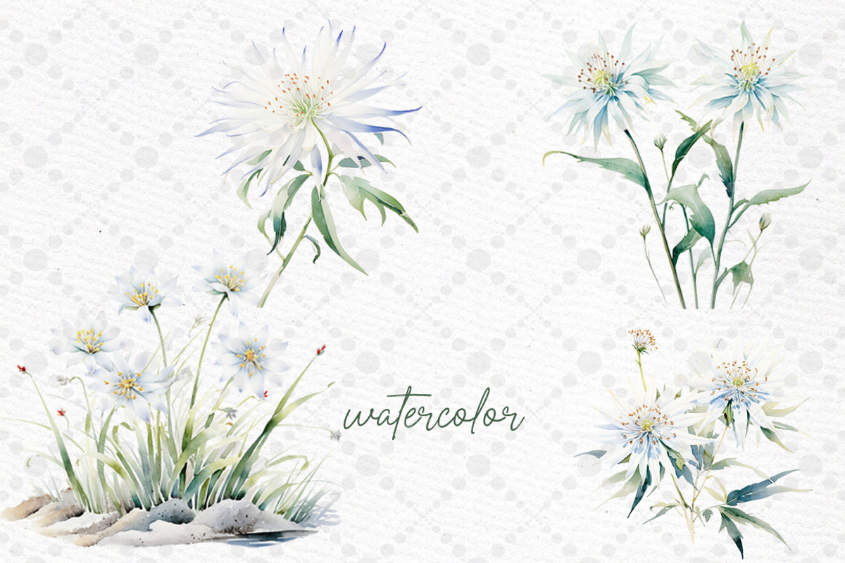 White Flowers Clipart Eucalyptus, a Decorative Illustration by LeCoqDesign (Photo 2 of 5)