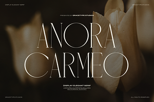 Anora Carmeo | Display Elegant Serif, a Font by gracetype_studio