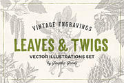 Leaves & Twigs Vintage Illustrations, an Illustration by Graphic Goods (Thumbnail 1 of 10)
