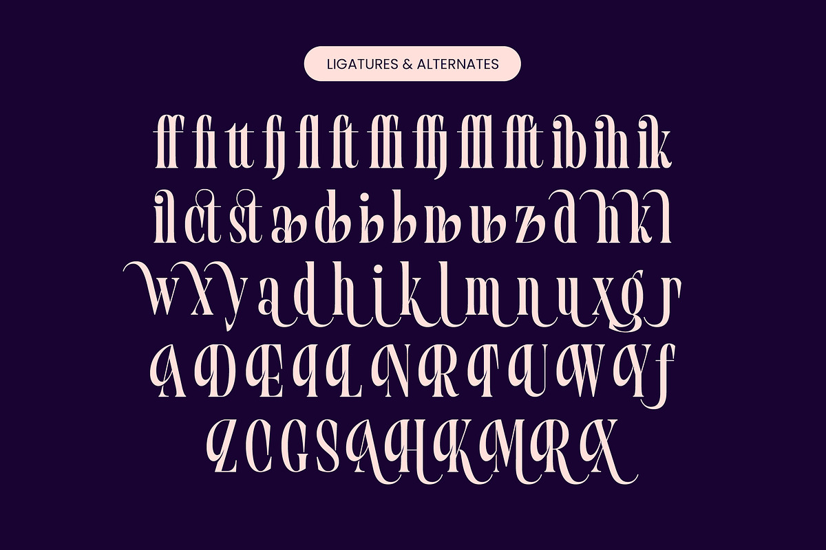 Begosta Modern Display Serif, a Serif Font by timelesstype.co (Photo 19 of 20)