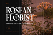 Ziporah Elegant Serif Font, a Serif Font by Graphicxell (Thumbnail 3 of 10)