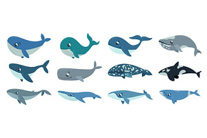 Cartoon whales. Isolated cute whale, an Animal Illustration by LadadikArt