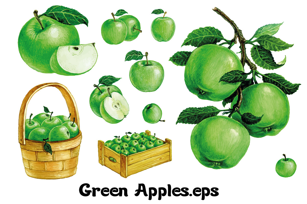 Fruits and berries collection_part 1, an Illustration by ZotovShop (Photo 4 of 20)