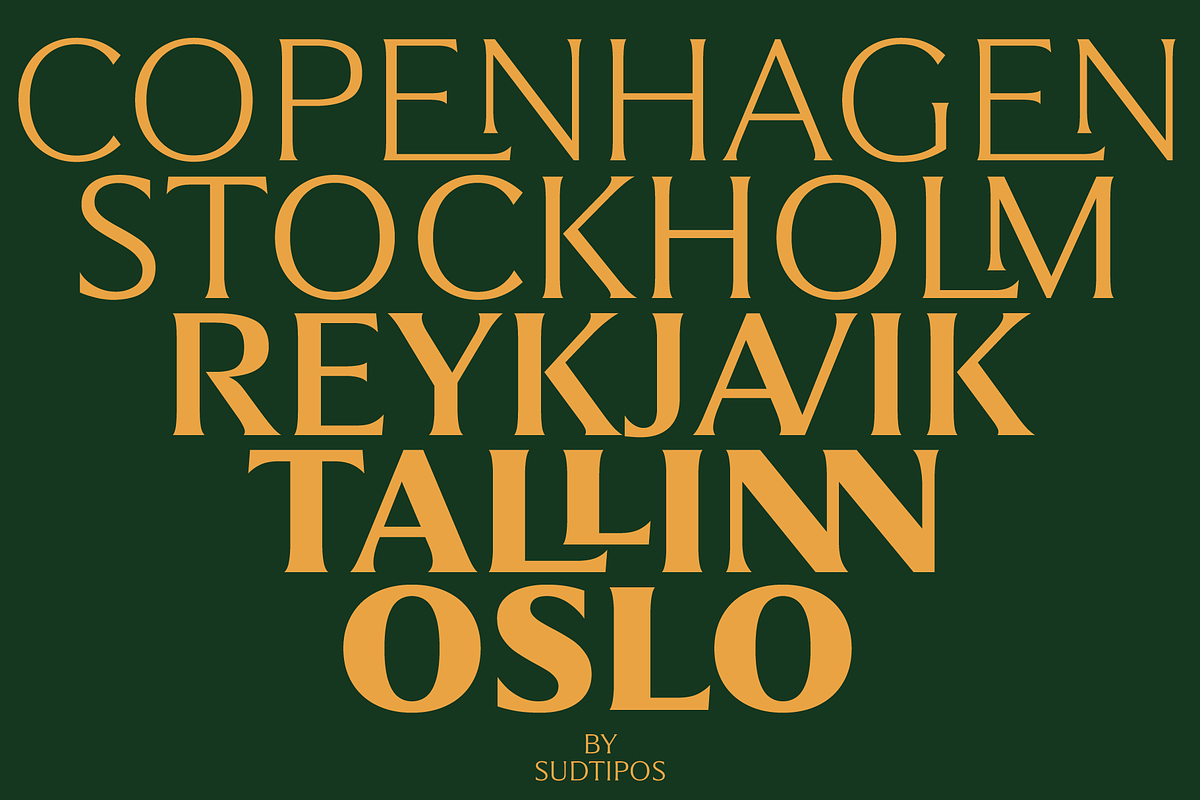 Partner, a Sans Serif Font by Sudtipos (Photo 6 of 7)