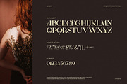 Arges Unique Serif Font, a Serif Font by Perfectype (Thumbnail 8 of 8)