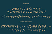 Throughout - Stylist Script Font, a Script Font by Arendxstudio (Thumbnail 8 of 9)
