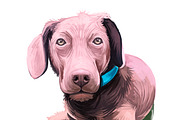 Puppies Dog Breeds Big Bundle 135Pcs, an Animal Illustration by Dneprstock (Thumbnail 7 of 68)