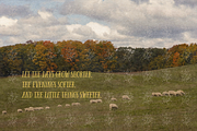 COZY LIBRARY | TALL COZY FONT, a Sans Serif Font by Maria Feliz Fonts (Thumbnail 2 of 11)