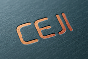 Ceji | Modern Luxury Serif, a Serif Font by Astuti Studio (Thumbnail 22 of 25)