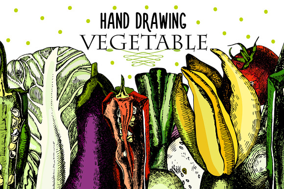 Beautiful vegetables for your design preview 5