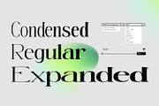 Mintely, a Serif Font by din-studio.com (Thumbnail 9 of 12)