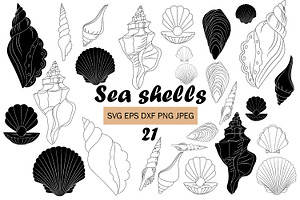 Seashells svg bundles vector 21
