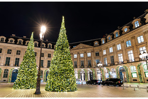 Illuminated Christmas trees at Place, an Architecture Photo by Leonid Andronov
